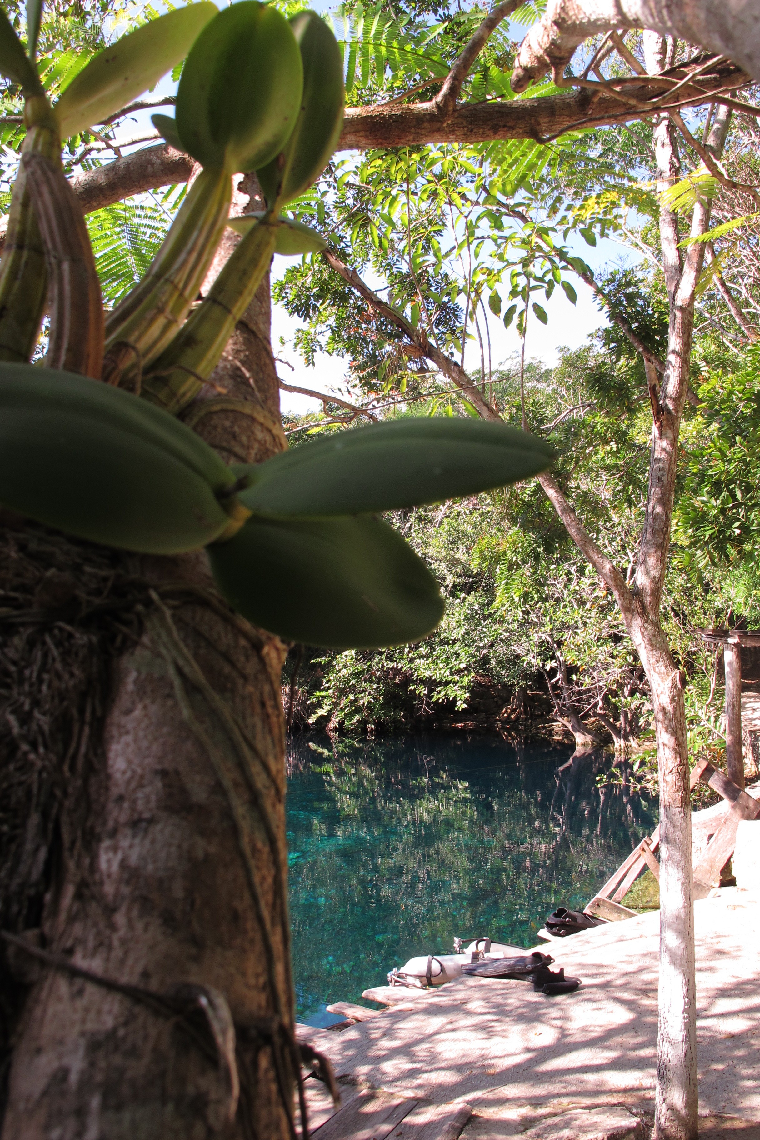 Cenote Actun Ha