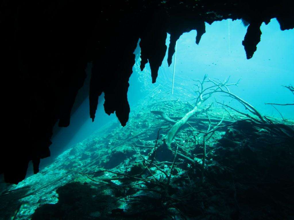 First step in the Overhead Environnment during the TDI Cavern diver course - Cenote Carwash (Actun Ha) Tulum - Mexico