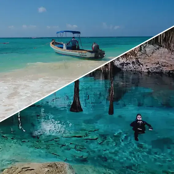 Diving in Cozumel and the cenotes of the riviera maya Mexico