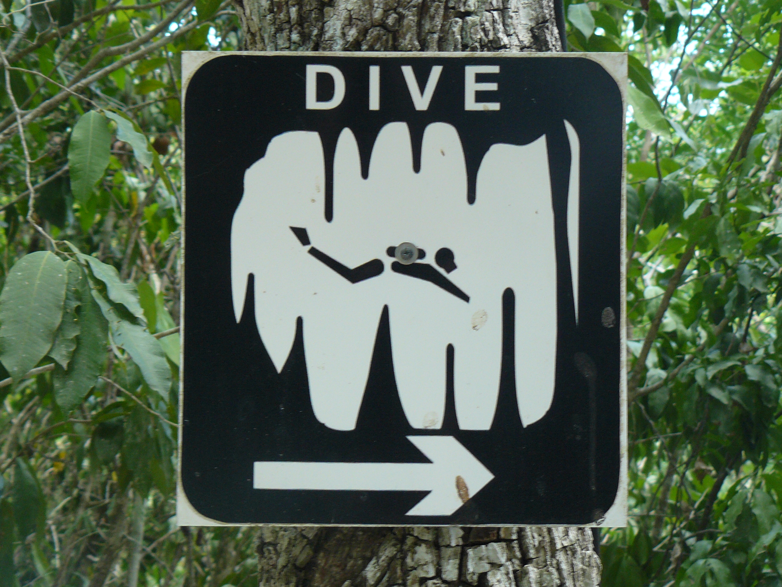 Prix des entrées des principaux cenotes ouverts à la plongée en Caverne, la plongée souterraine et les cours de plongées souterraine