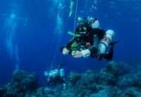 Deep Diving Cozumel