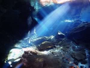 Cenote Kukulkan, cavern dive in the winter morning light