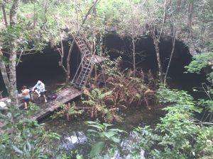 Buceo en cenote