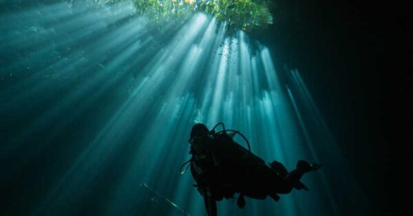 Cenote Eden