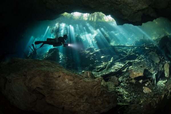 Diving Cenotes - Playa del carmen