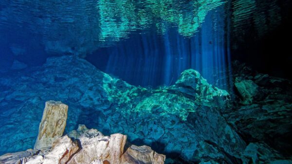 Cenote Taj Mahal - Diving Cenotes of Mexico