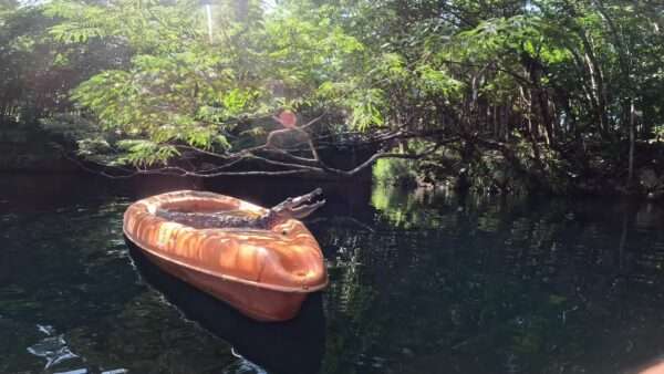 Crocodile's bathsun at Cenote Angelita - Deep Cenote