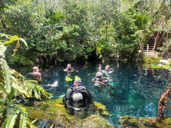 SDI IDC - Conviértete en Instructor de Buceo