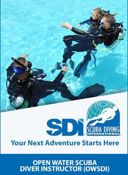 Become an SDI Open Water Scuba Instructor