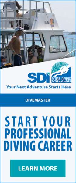 Divemaster SDI - curso de divemaster para iniciar tu carrera en el buceo